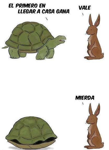 LAS OREJAS DEL CONEJO