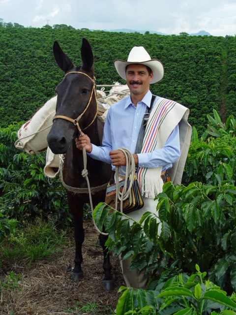 JUAN VALDEZ- CAFE