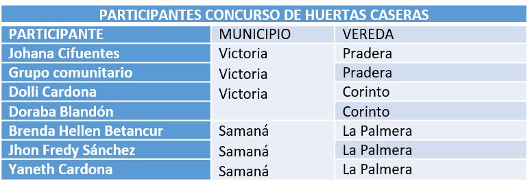 CONCURSO DE HUERTAS CASERAS