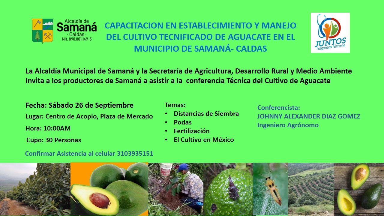 CAPACITACI�N EN EL ESTABLECIMINETO Y MANEJO DEL CULTIVO TECNIFICADO DE AGUACATE