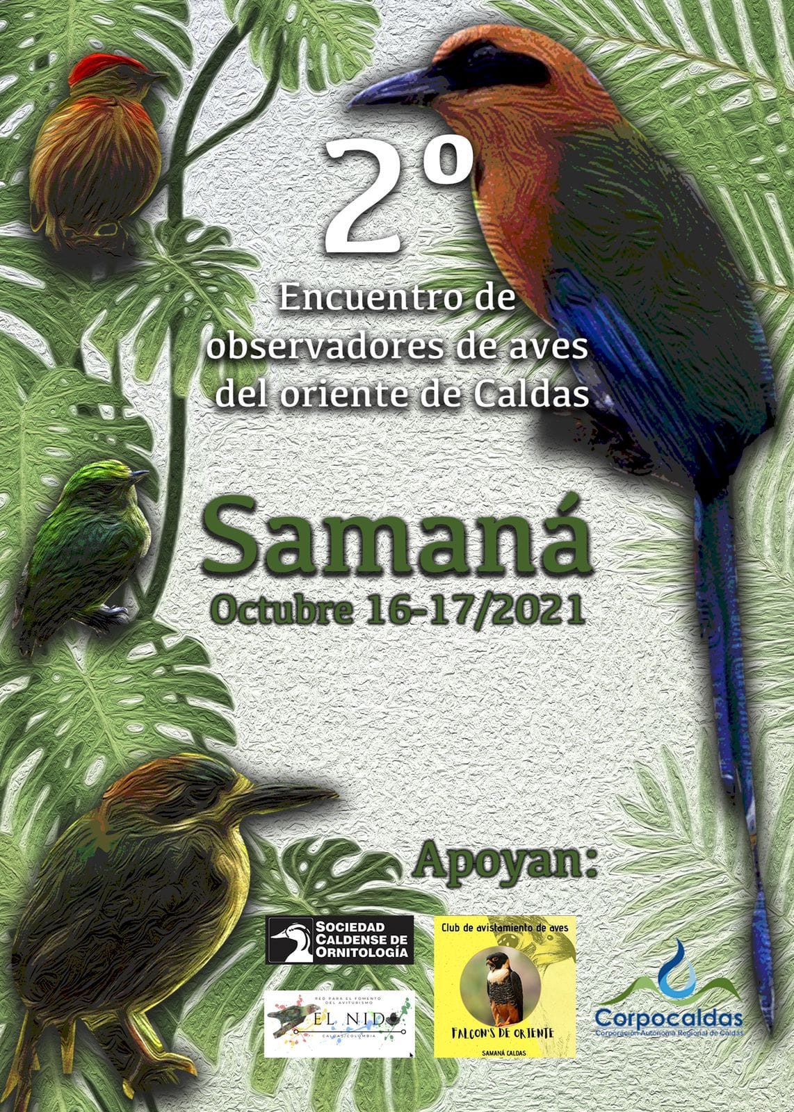 2 ENCUENTRO DE OBSERVADORES DE AVES DEL ORIENTE DE CALDAS